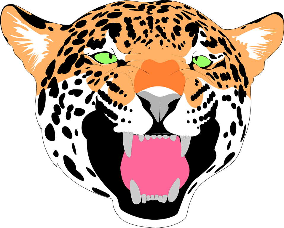 Jaguar Clipart Face - Jaguar With Transparent Background (958x770)