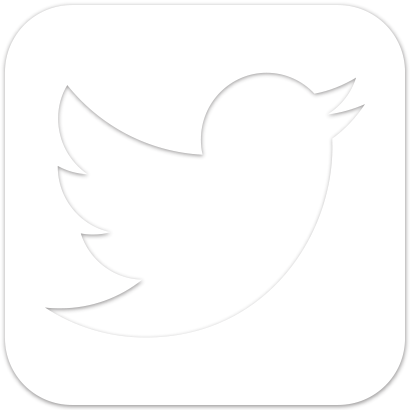 Home Riedell Roller Skates - Social Media Icon Cake Topper (410x410)