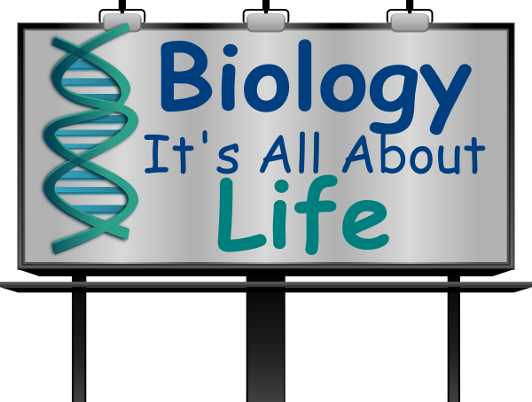 Biology Clip Art At Clker Com Vector Clip Art Online - Biology Clip Art Free (600x454)