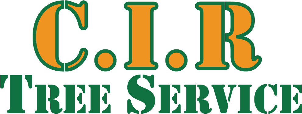 Xavieraleman88@yahoo - Com - La-96 Nike Missile Site (999x440)