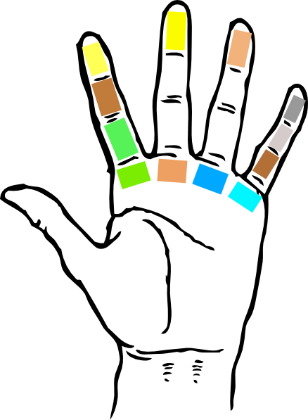 Small Big Hand Clip Art - Guitar Left Hand Fingering (438x597)