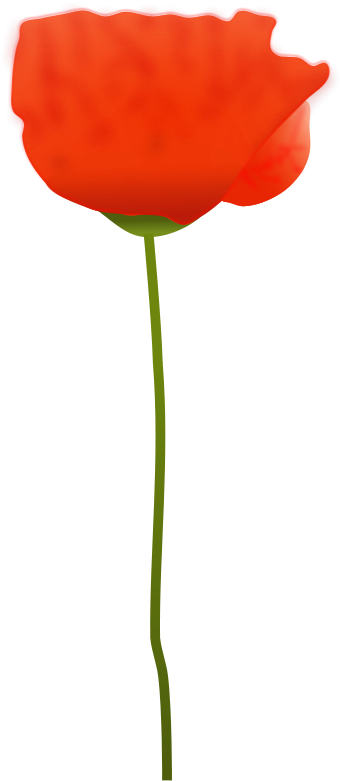 Poppy Flower Clip Art - Free Picture Of A Poppy Flower (394x900)