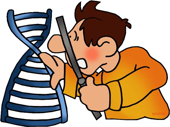 Dna Clip Art Free - Dna Clipart (648x455)