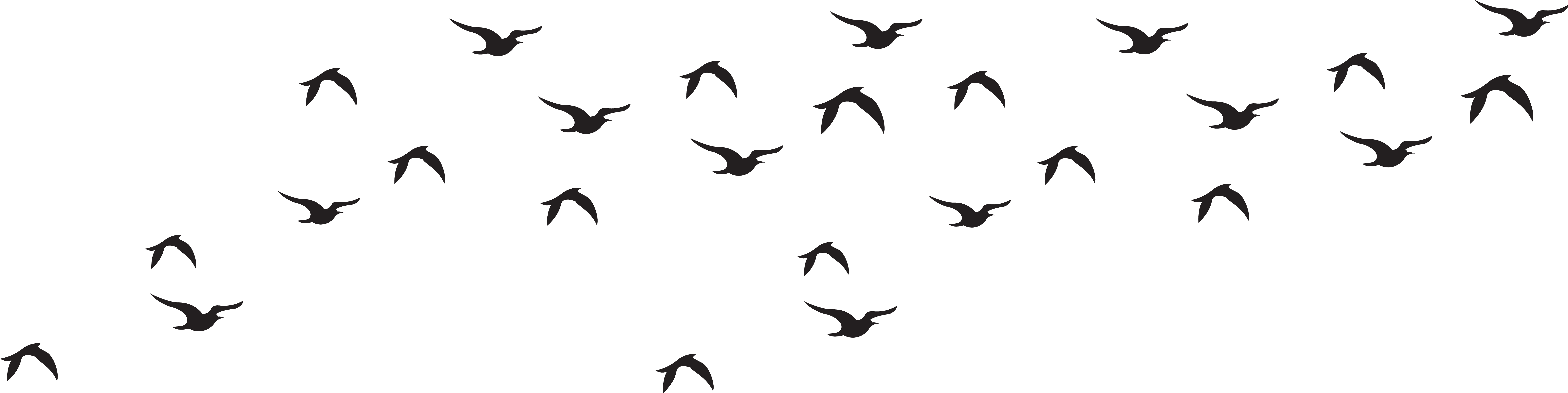 Wildlife Clipart Bird Flock Pencil And In Color - Birds Black And White Png (8000x2087)