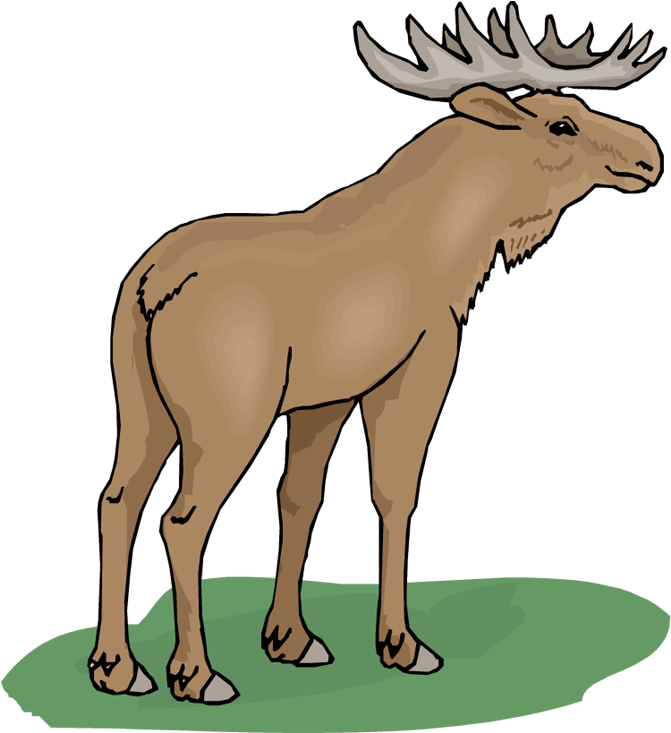 Top 75 Moose Clip Art - Moose Clipart (670x750)