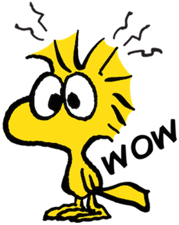 Woodstock - Snoopy And Woodstock Angry (500x500)