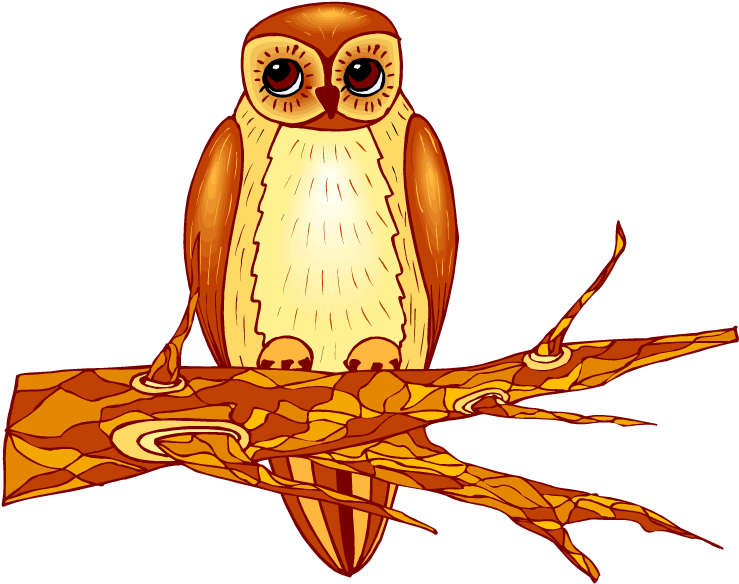 Owl Clipart - Clip Art (750x587)