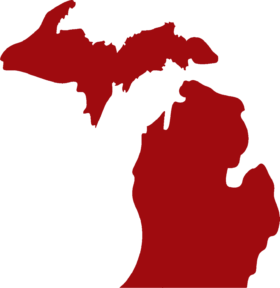 Clear View Security Is - State Of Michigan Vector (1149x1179)