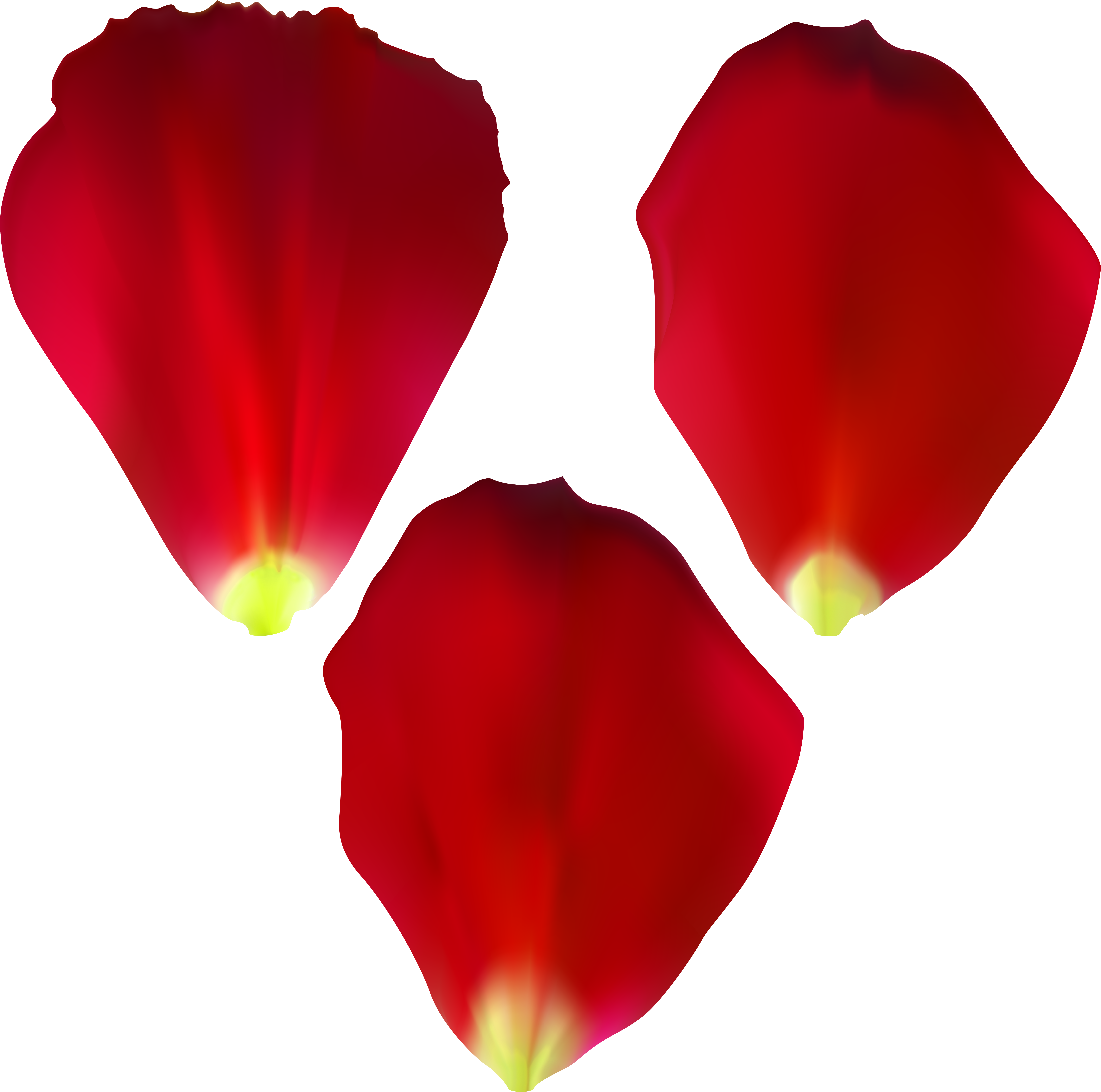 Rose Computer Icons Painting Clip Art - Rose Computer Icons Painting Clip Art (8000x7936)