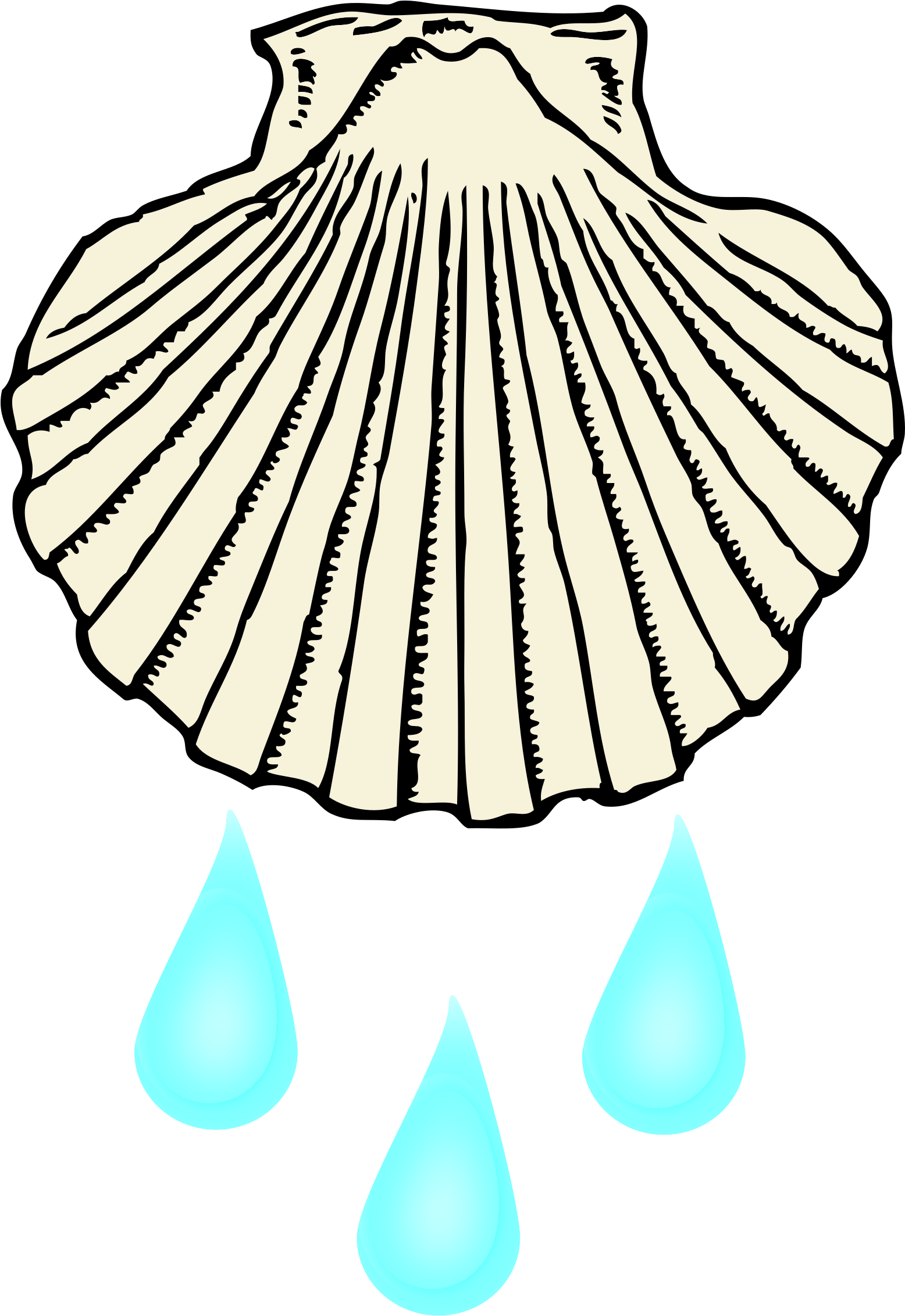 Big Image - Baptismal Shell Clip Art (1555x2400)
