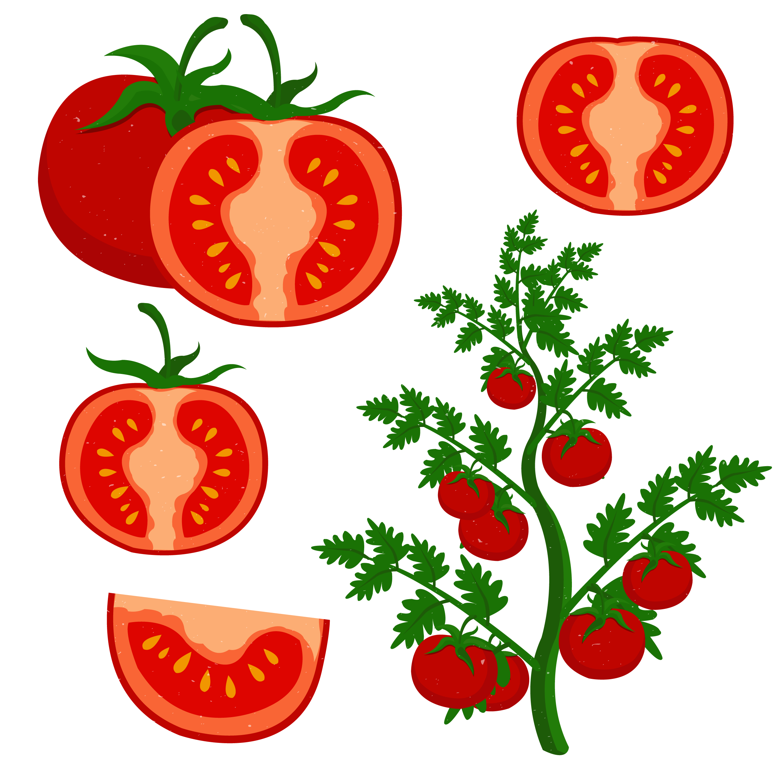 Cherry Tomato Clip Art - Cherry Tomato Clip Art (2480x2480)