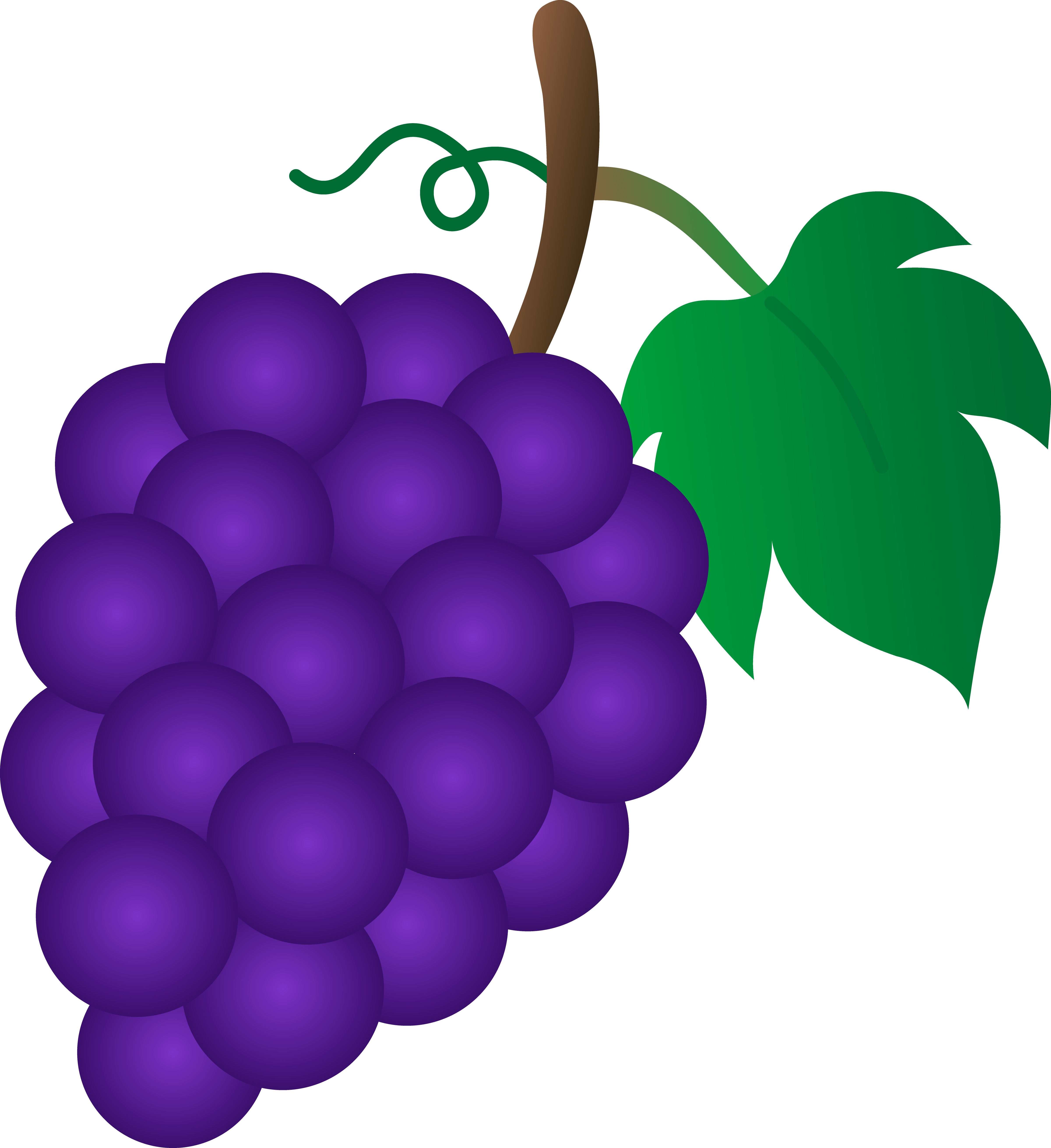 Grape Clip Art - Grapes Clipart (4801x5243)