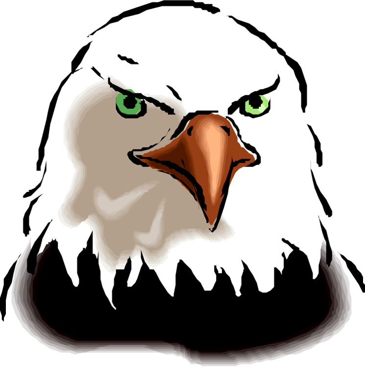 Free Image Of Eagle Head - Face Of A Bird (745x750)