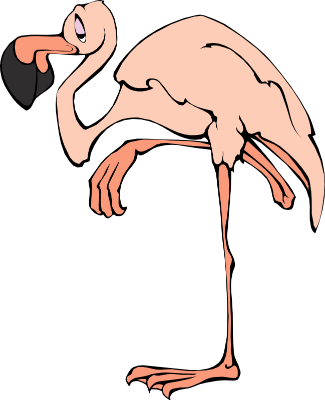 Flamingo Free To Use Clip Art - Flamingo Clip Art (649x800)