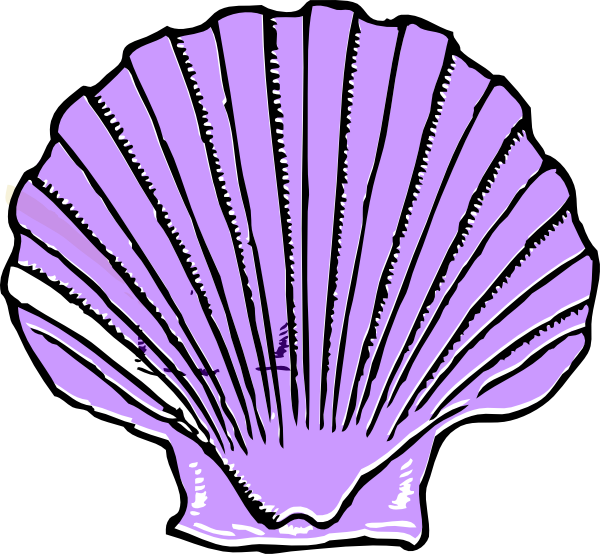 Download - Purple Shell Clipart (600x554)