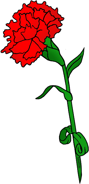 Red Carnation - Ohio State Flower Clipart (351x648)