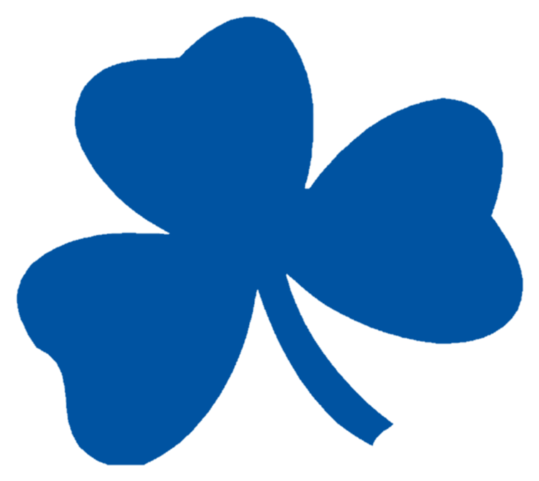 Detroit Catholic Central Shamrocks - Kids Shamrock (765x687)