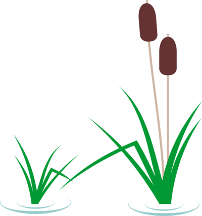 Cattails Clip Art Cattail Clipart Free Download On - Cattail Clipart (400x429)