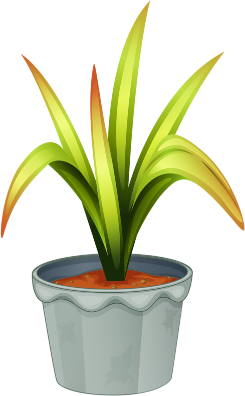 Patterns - Leafy Plant (528x800)