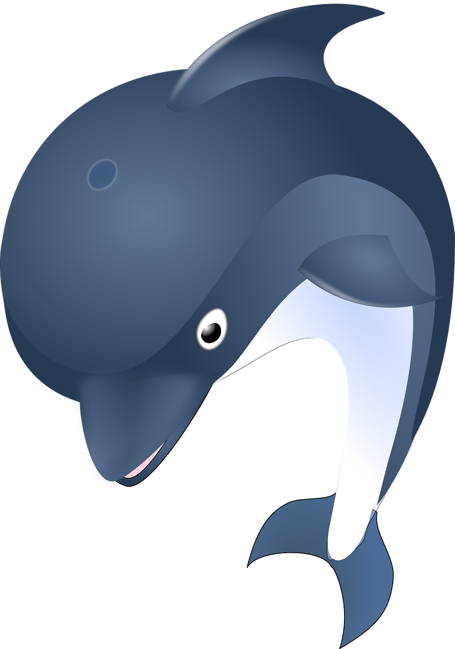 Dolphin Free Png Transparent Background Images Free - Dolphin Clipart (1697x2400)
