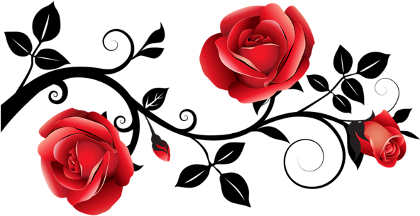 0, - Roses Png (673x360)