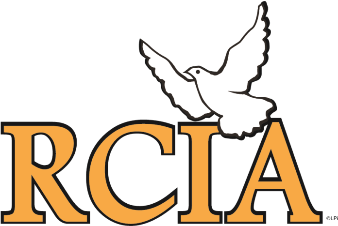 Rite Of Christian Initiation Of Adults (747x483)