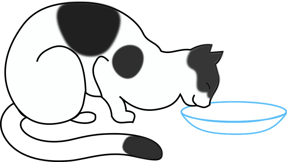 Drinking Water Clipart 26, - Cat Drinking Milk Cartoon (960x544)