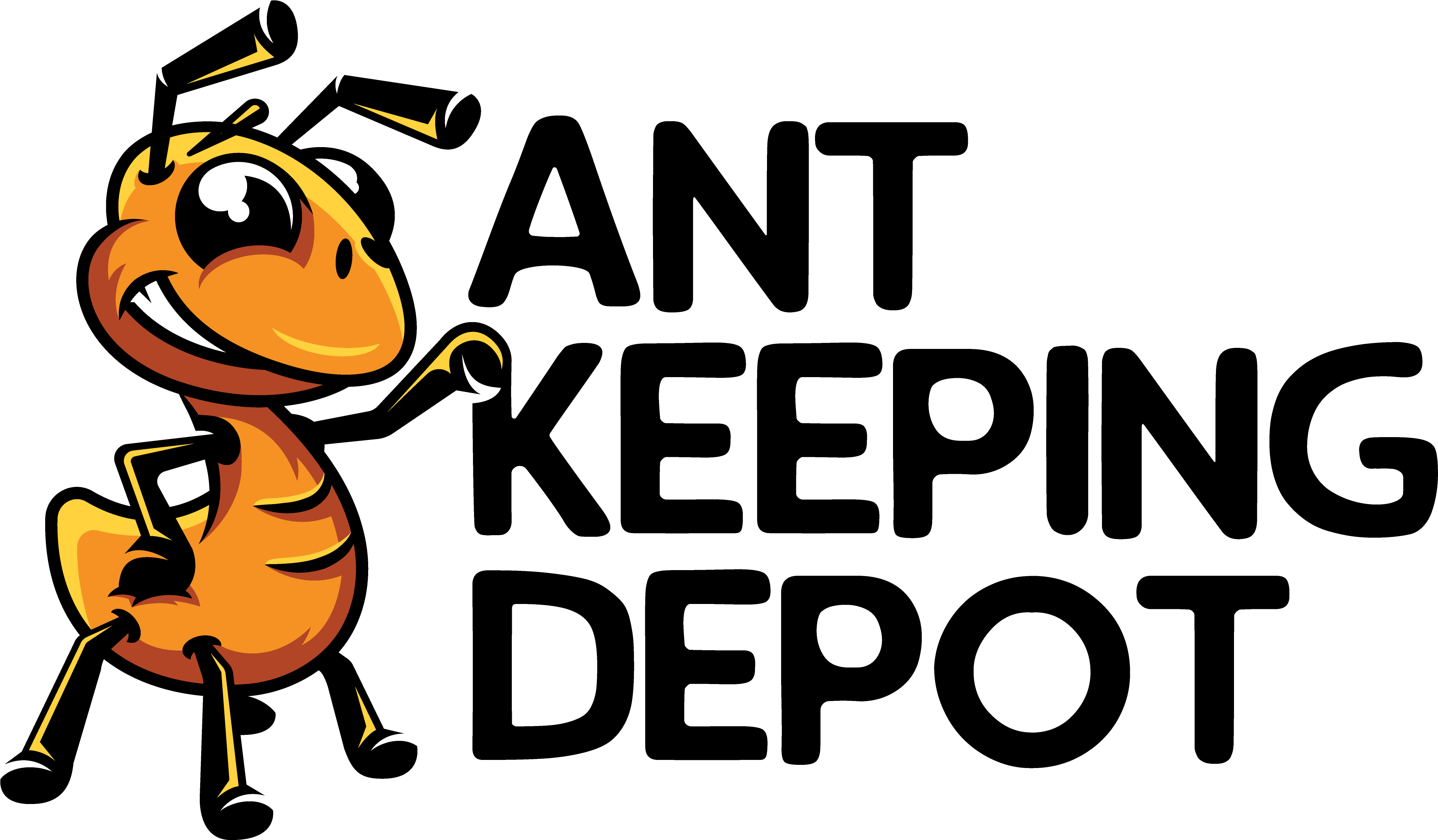 About Us - Ant-keeping (4500x2494)