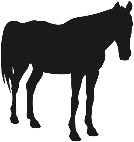Horse Sleeping Silhouette Transparent Png - Zebra Silhouettes (512x512)