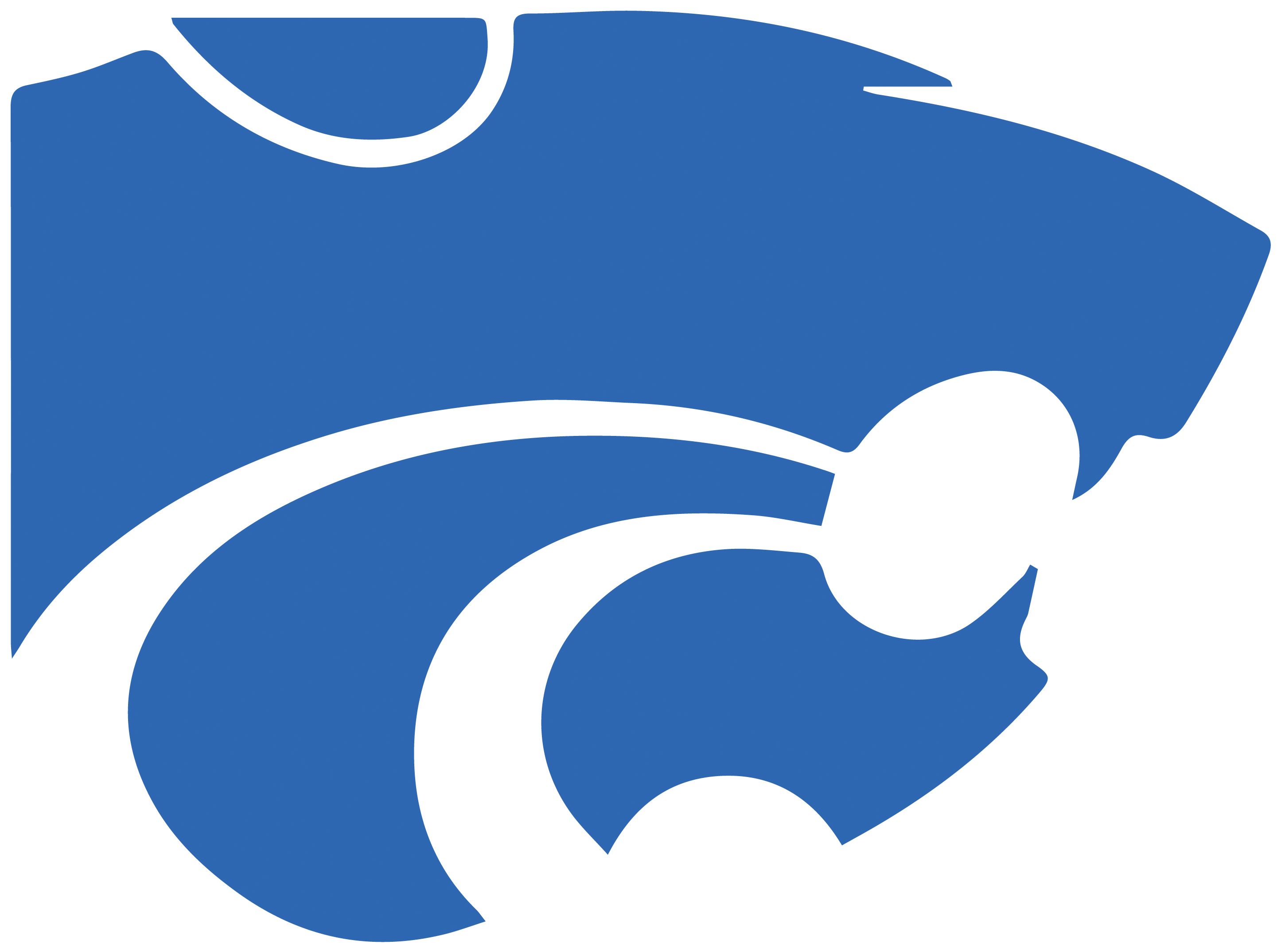 Wilson Central Wildcats - Cy Creek High School Logo (3149x2428)