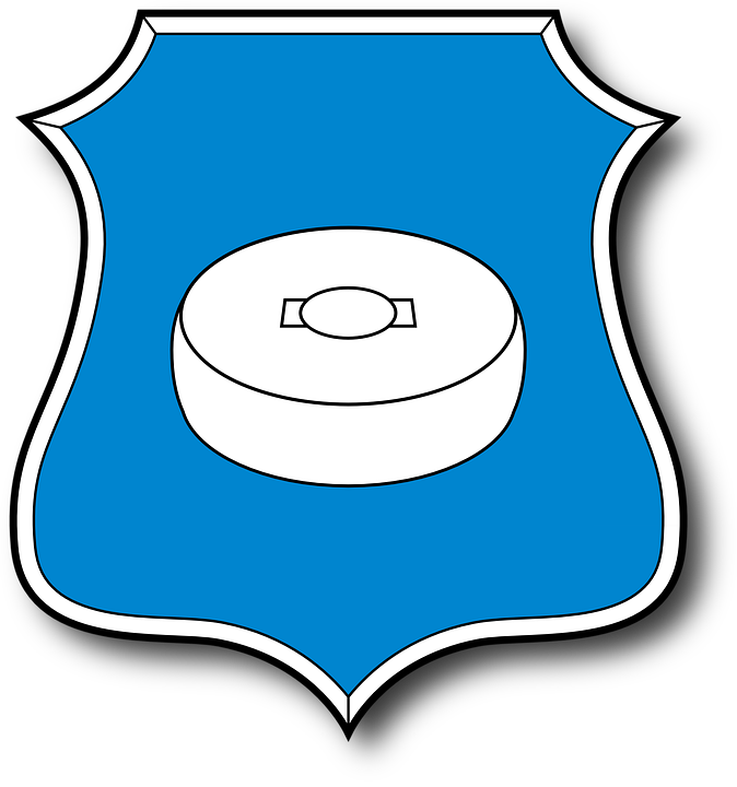 Hungary, Coat Of Arms, Crest, Emblem, Symbol, Flag - Emblem (674x720)