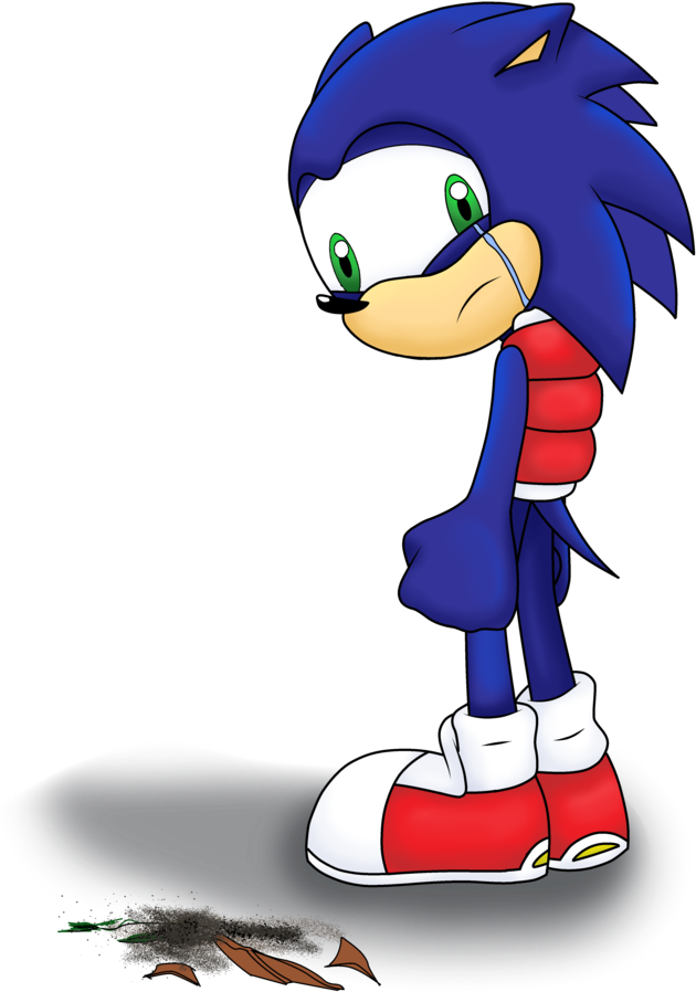 Quills By Deldiz - Sonic The Hedgehog Quills (775x1031)