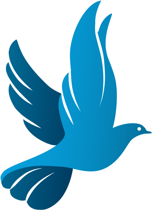 Dove, Funeral, Soul Icon - White Dove Logo (1024x934)