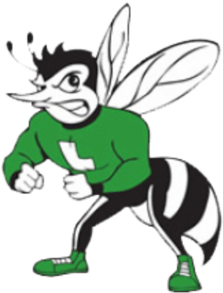 Home Of The Hornets - San Diego Lincoln High School Logo (480x480)