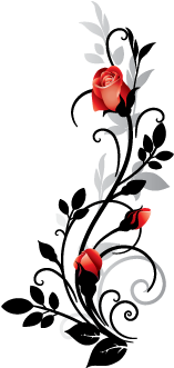 Allodi Adesivos Decorativos - Border Rose Design (350x350)
