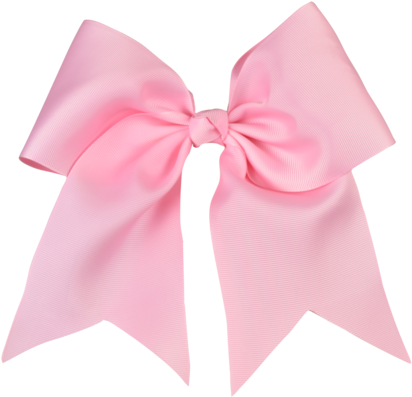 Pink Noble Bow - Present (470x480)
