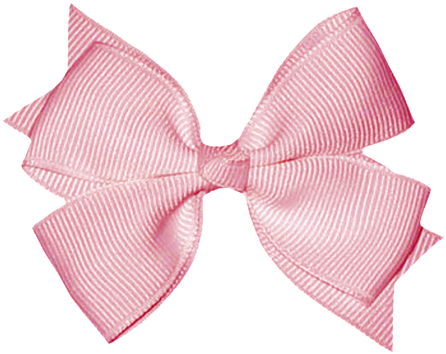 Photo Bos-bow - Pink Bow Png (1024x1024)