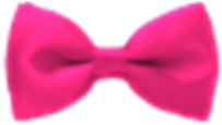 Hot Pink Bow Tie - Silk (420x420)