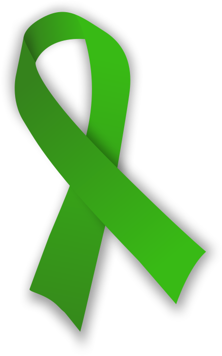 Inflammatory Bowel Disease Awareness Ribbon Crohn's - Green Ribbon Organ Donation (690x811)