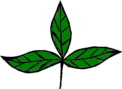 Bookkeeping And Tax Services - Tax (417x310)