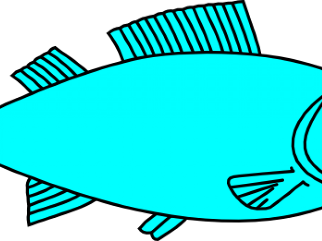 Teal Fish Cliparts - Fish Clipart Black And White (640x480)