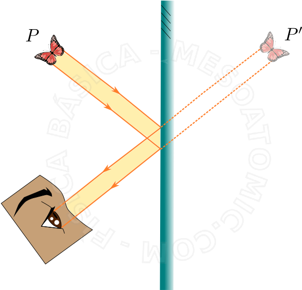 Illustration Of A Butterfly Seen Through A Plane Mirror - Espejo Plano (820x650)