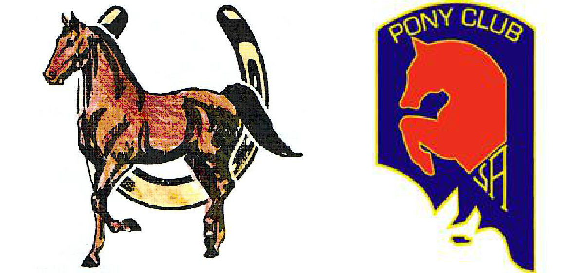 Crystal - Mare (1200x600)