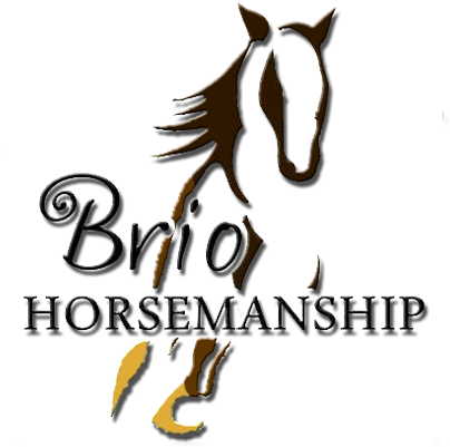 Brio Horsemanship - Stallion (450x450)
