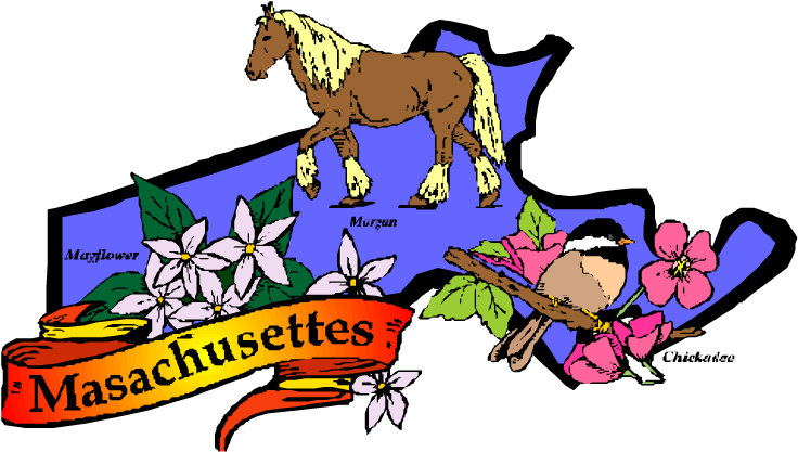 Horse Camping Is Being Considered So Those With Horses - Massachusetts State Clip Art (750x435)
