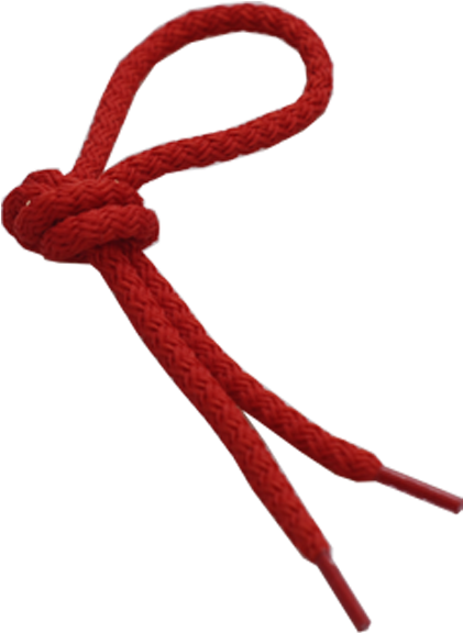 Shoe Lace - Red Shoelace Png (450x650)