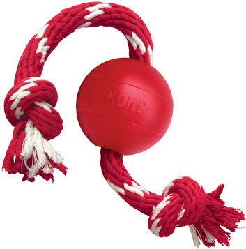 Rope And Knot Toys - Kong Ball For Dogs (400x360)