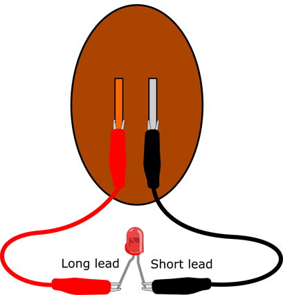 Potato Battery Led Veggie Power Led - Vegetable Power (409x426)