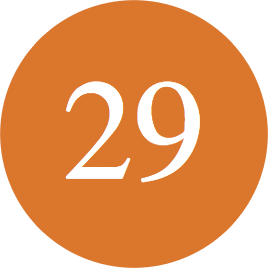 Orange-29 - Circle (540x540)