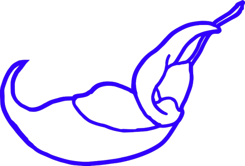 North America - Location (500x340)